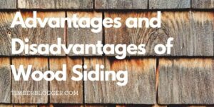 Siding_advantages_(22)